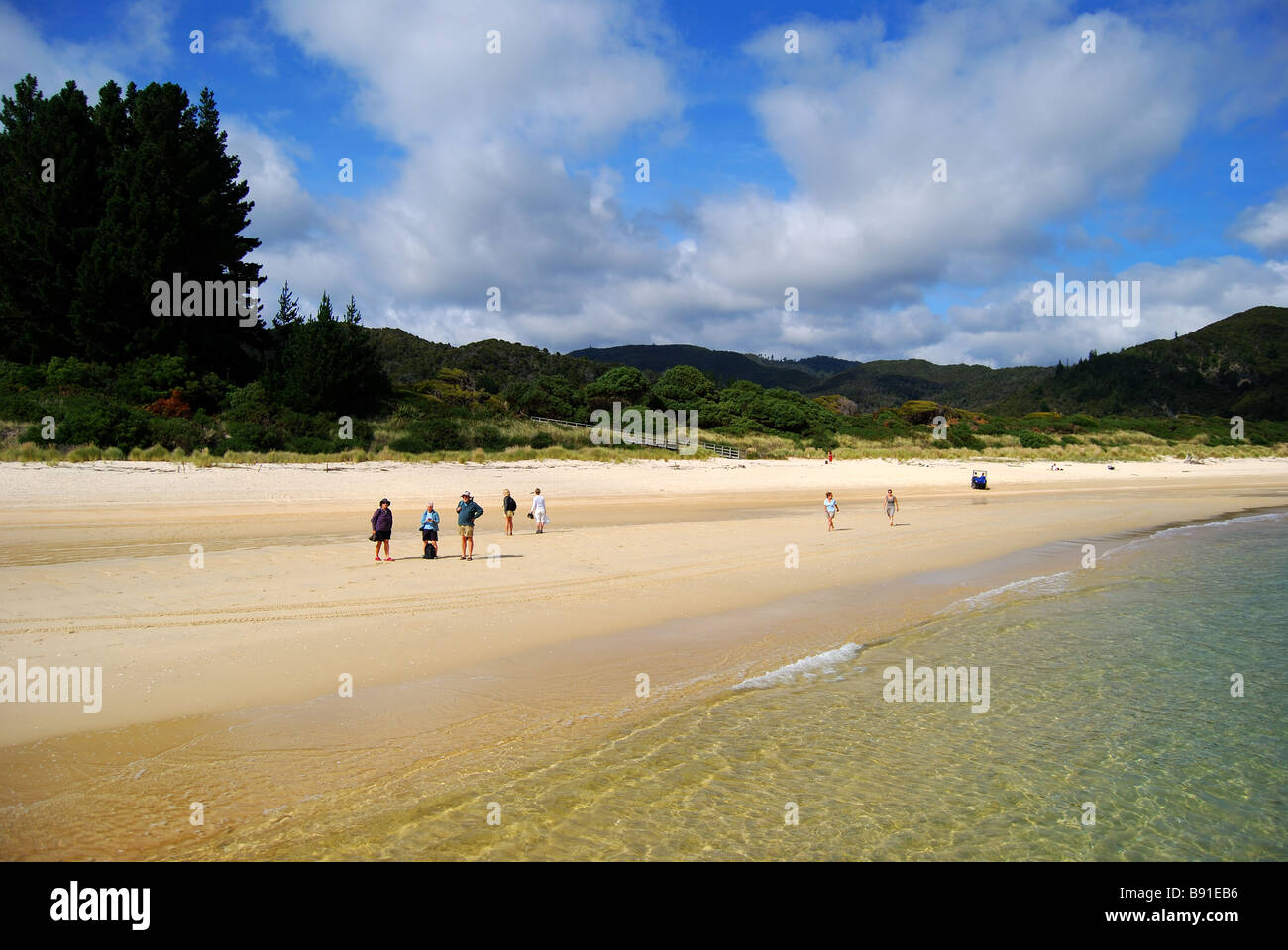 Awaroa Bay, Abel Tasman National Park, Tasman, South Island, New ...
