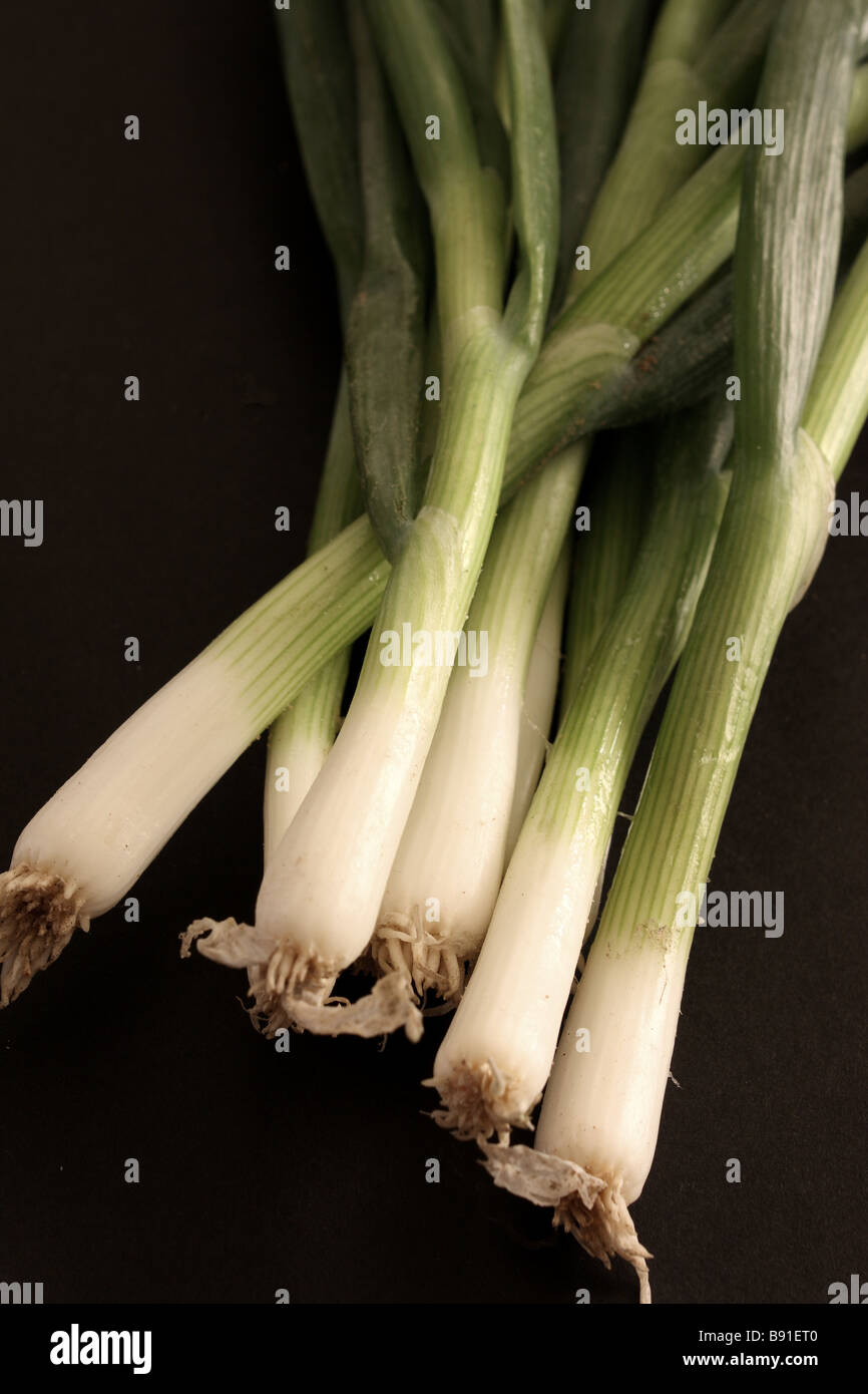 Healthy spring salad vegetables hi-res stock photography and images - Alamy