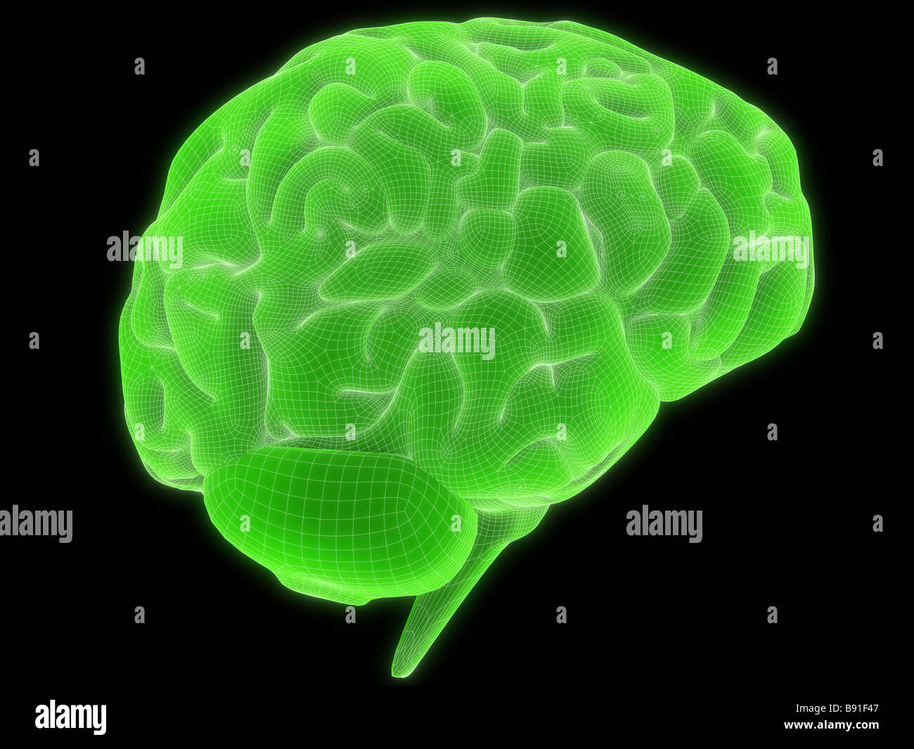 Green brain. Зеленый мозг. Зеленые мозги. Мозг и цветы.