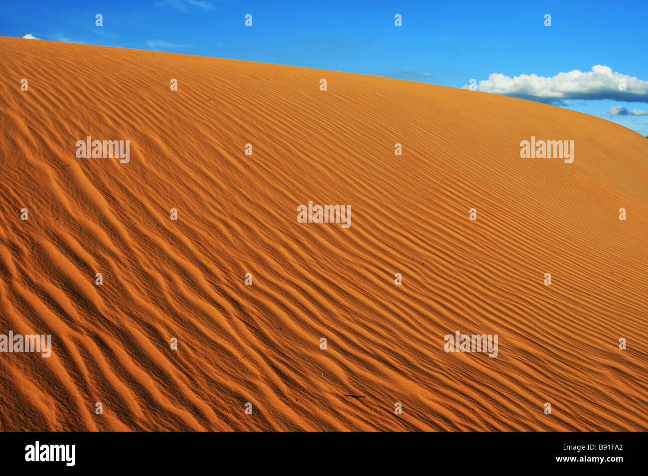 Tocantins Brazil High Resolution Stock Photography and Images - Alamy