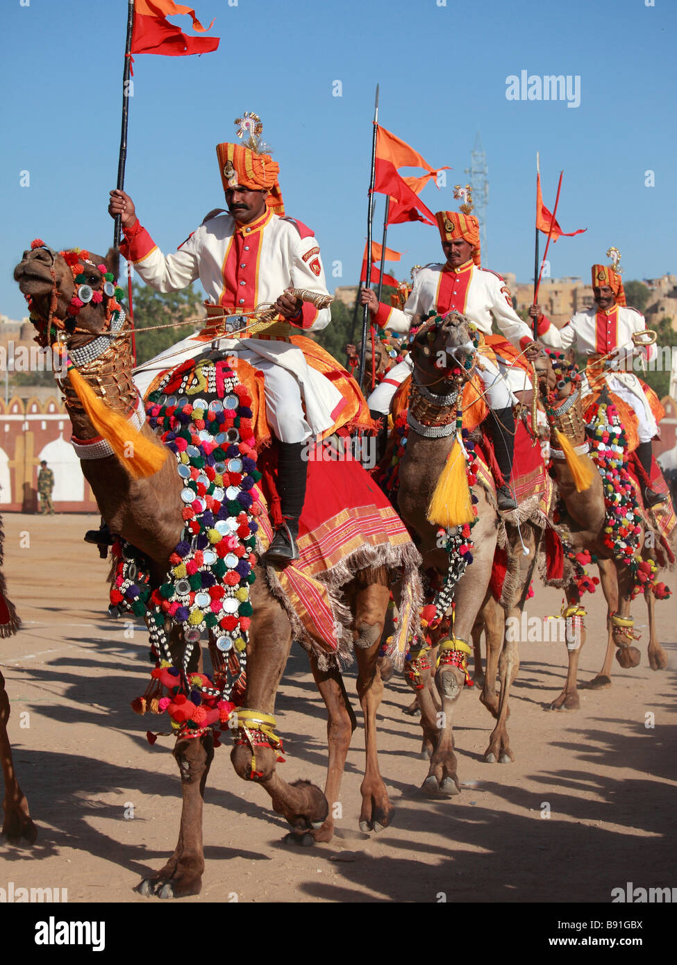India Rajasthan Jaisalmer Desert Festival camel tattoo show Stock Photo - Alamy India Rajasthan Jaisalmer Desert Festival camel tattoo show Stock Photo - Alamy