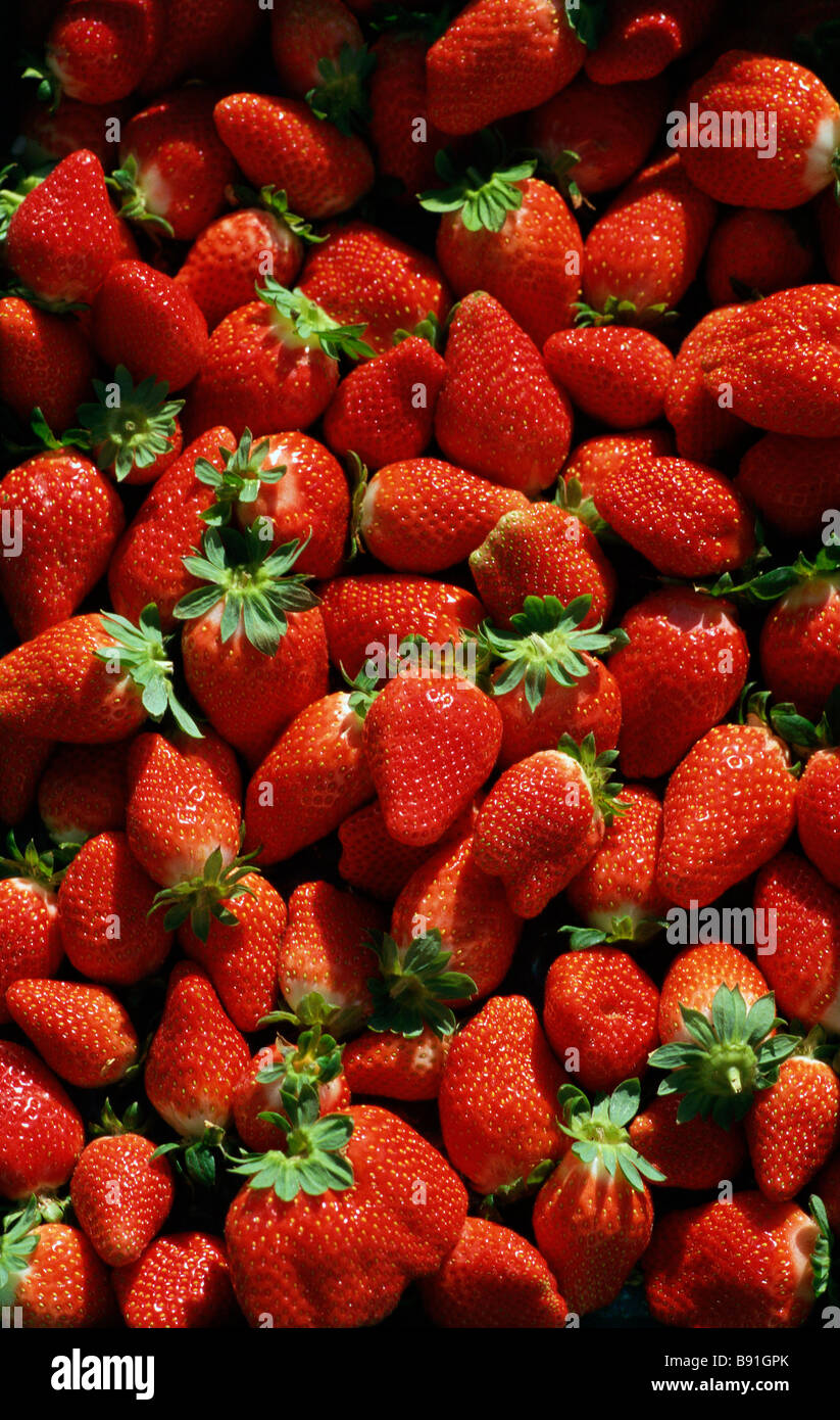 Strawberry fruit food fresh hi-res stock photography and images - Alamy