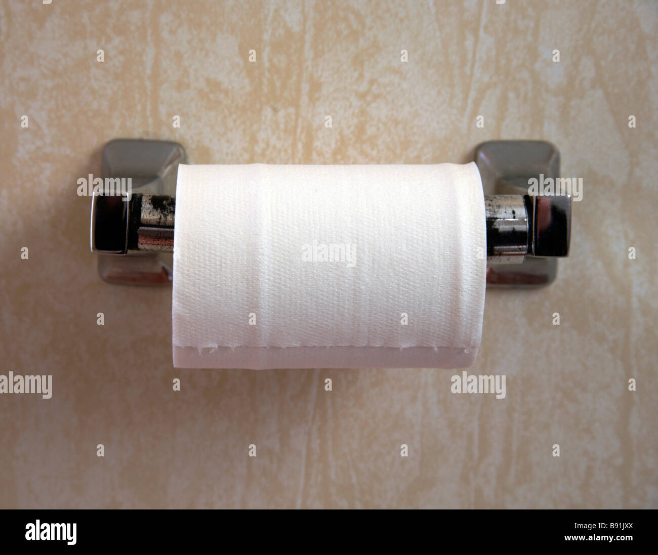 Toilet Roll on Holder Stock Photo