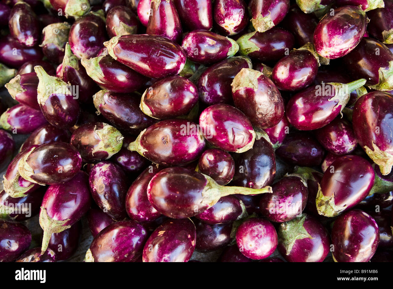Organic Produce at the Culver City Farmer s Market Los Angeles County