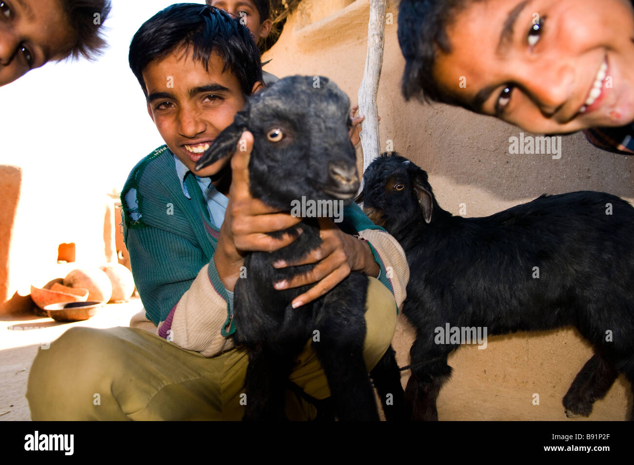 Indian children and their goats Stock Photo Alamy