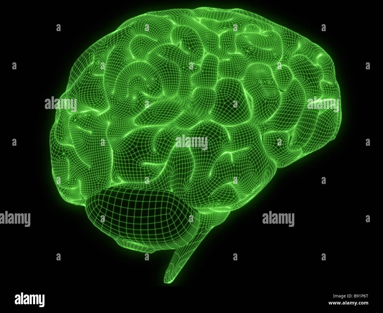 Green neuron hi-res stock photography and images - Alamy