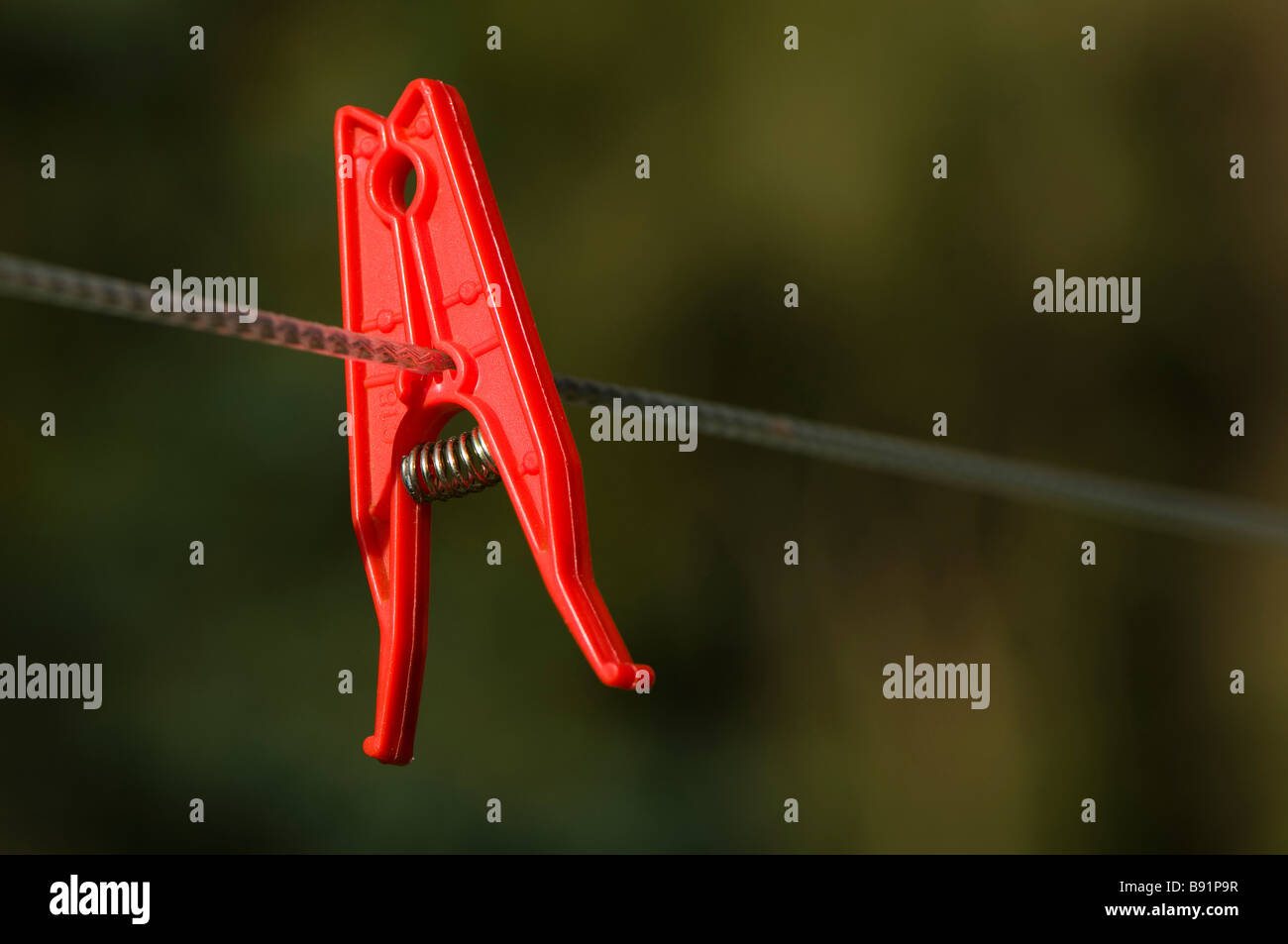 Single red clothes peg on a washing line Stock Photo Alamy
