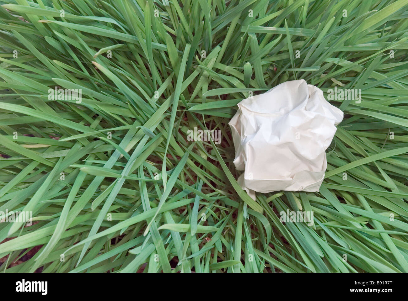 crunched up paper dumped on grass Stock Photo Alamy