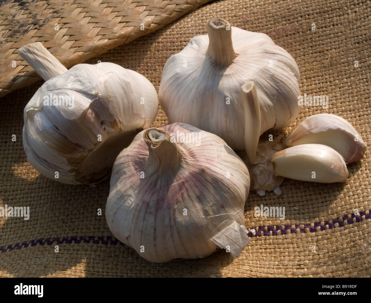Bulbs and cloves of garlic rest on hessian Stock Photo - Alamy