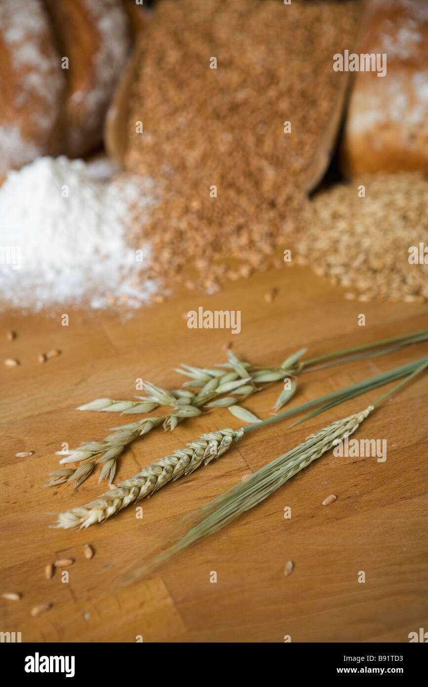 Grain Wheat oats and flour Sweden Stock Photo Alamy