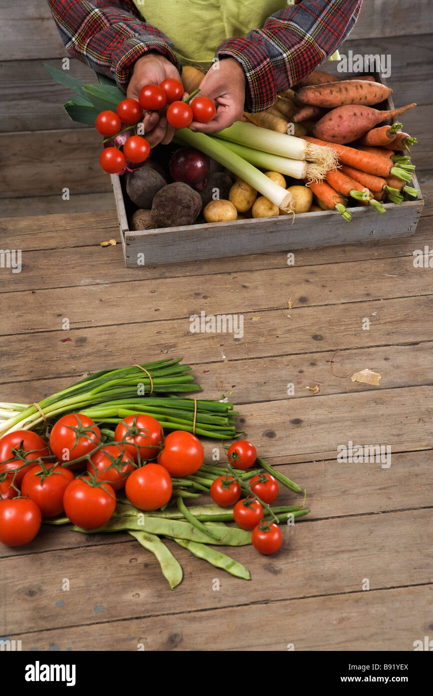 Fresh vegetables Sweden. Stock Photo