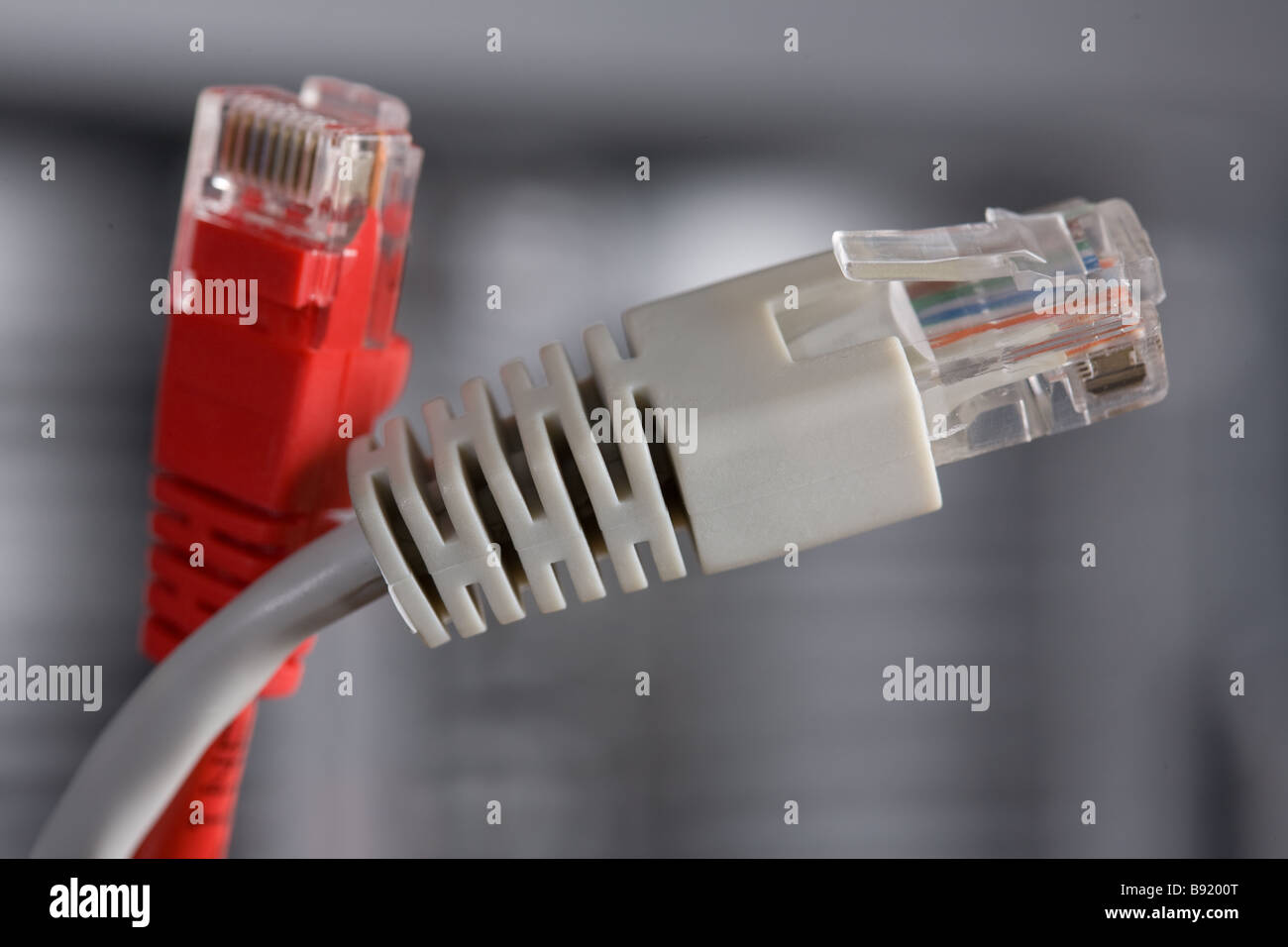 patchcord, network, communication, connection, wire, twisted pair cable