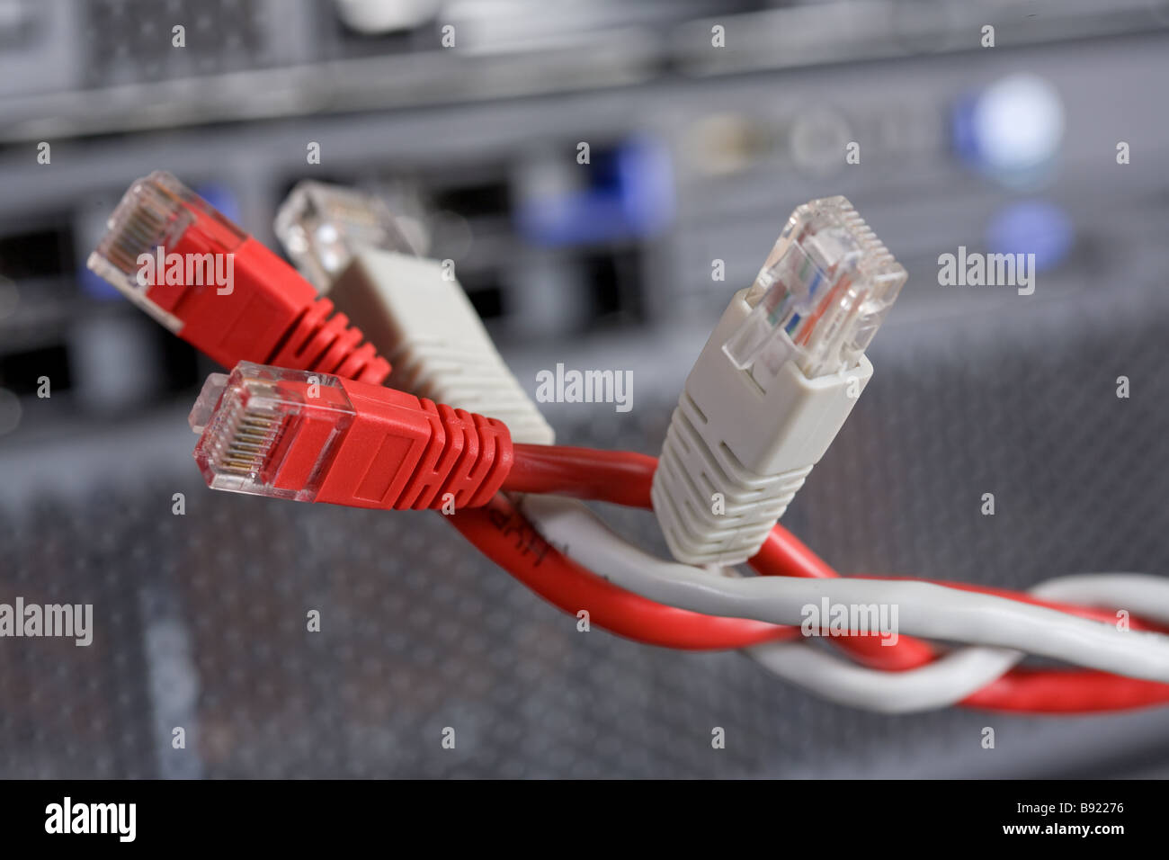 patchcord, network, communication, connection, wire, twisted pair cable