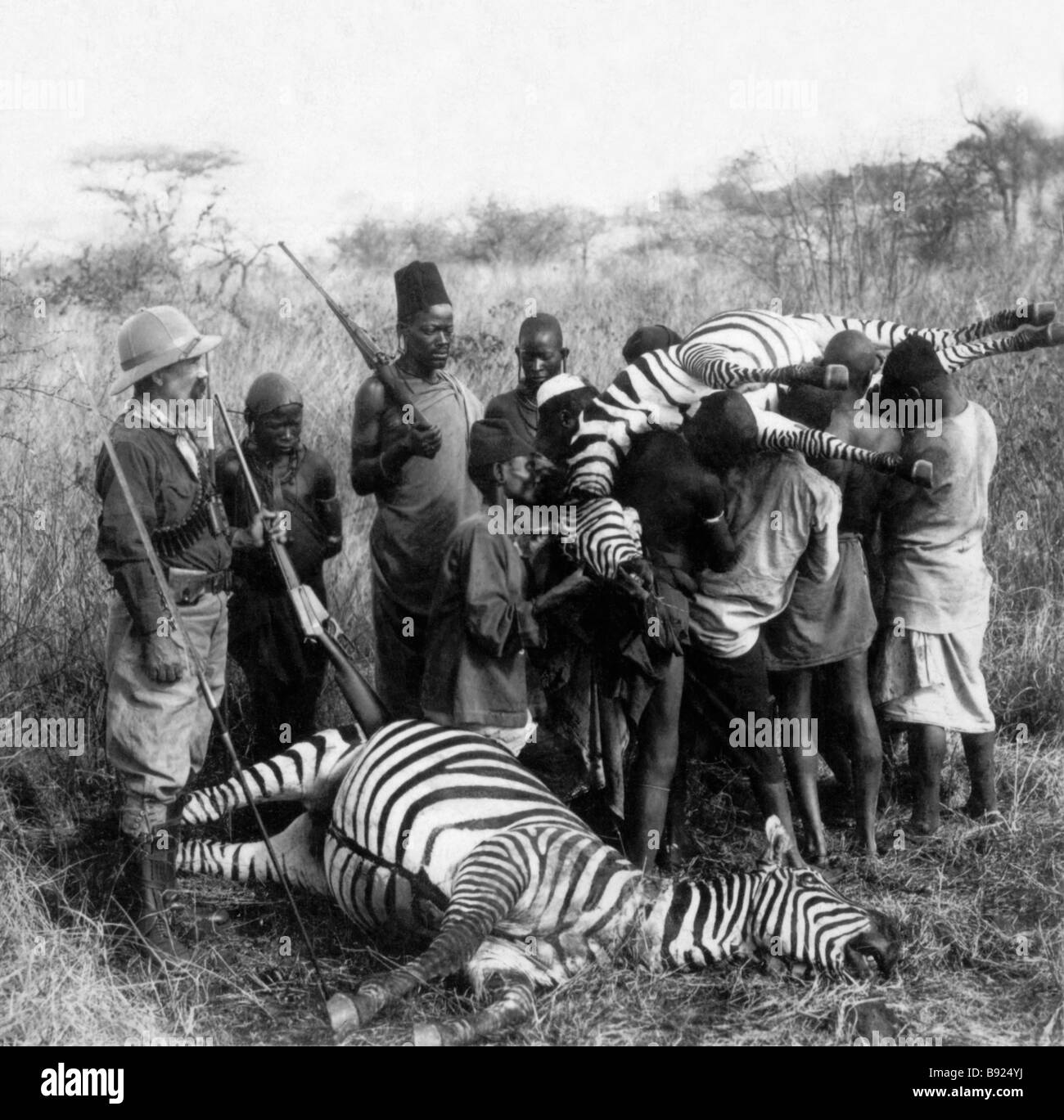 White game hunter, black trackers and bearers with his quarry of two dead zebras, East Africa, c. 1900 Stock Photo