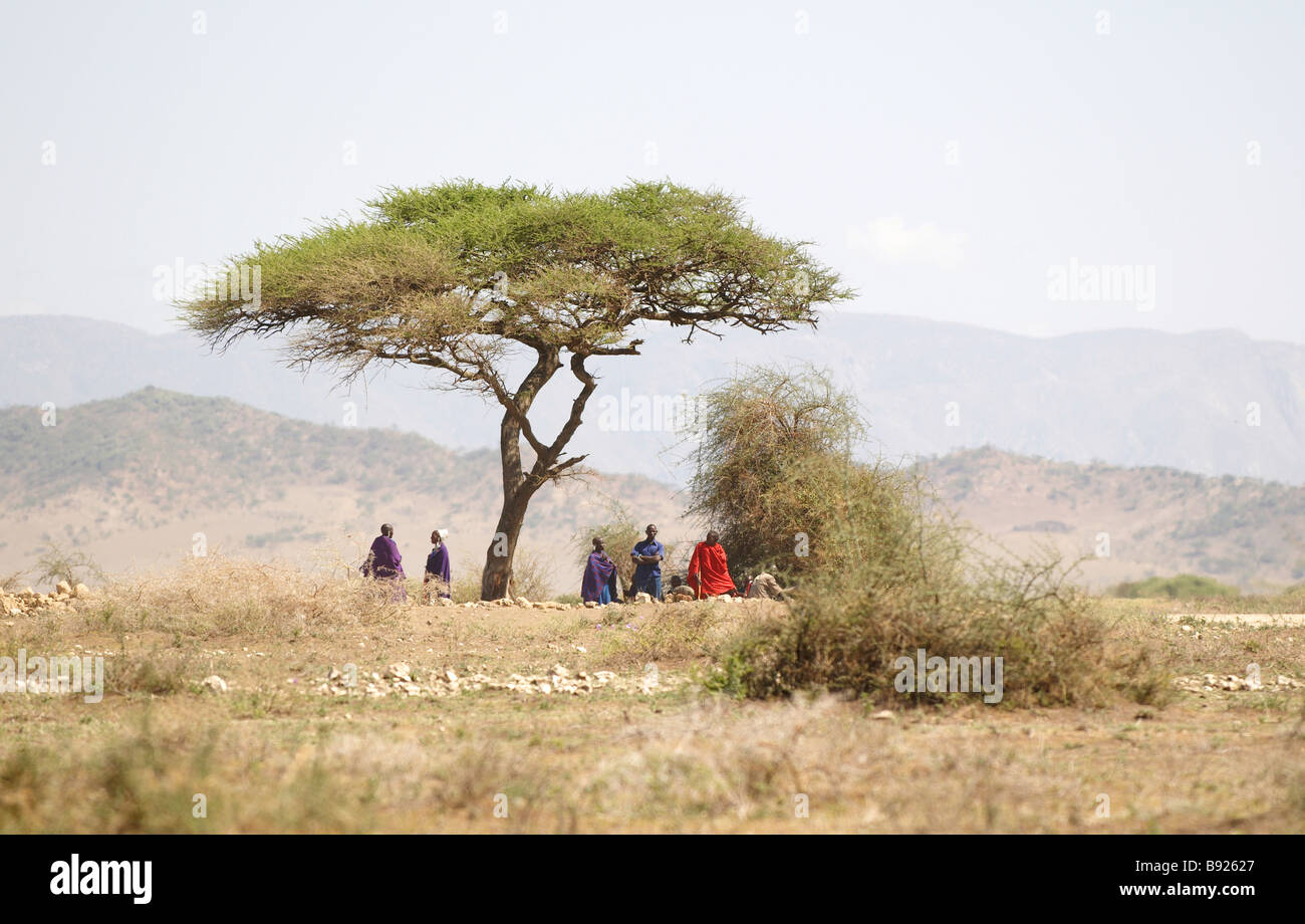 Masai native people in african savannah Stock Photo - Alamy