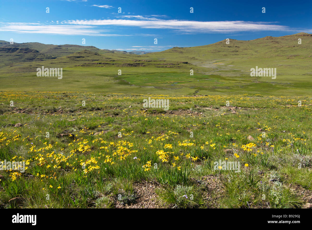 Landscape of Lesotho from the Drakensberg Escarpment, Drakensberg Mountains, Kwa-Zulu Natal, South Africa Stock Photo