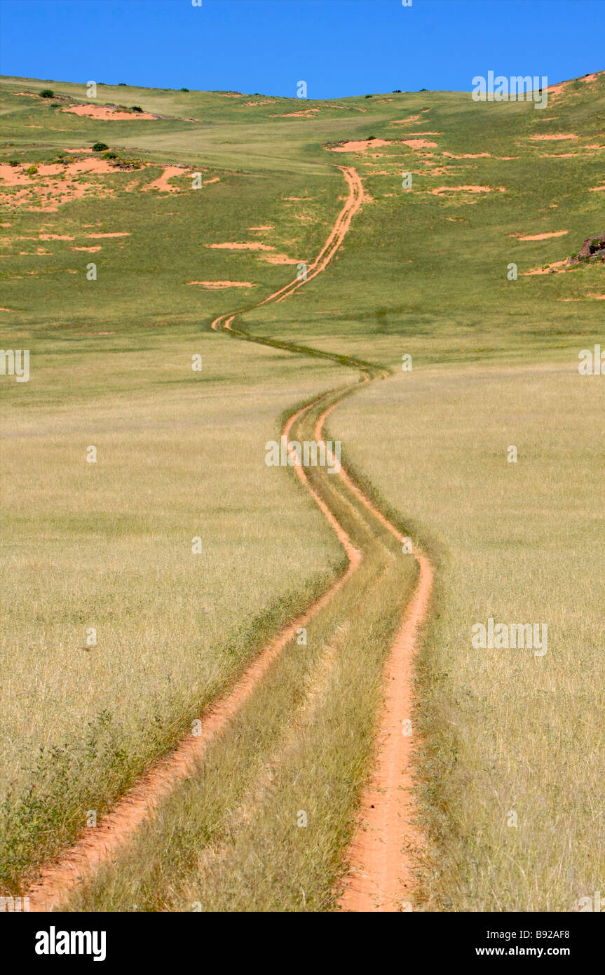 Desert road fairy circles Near Hartmann s Mountains Northern Kaokoland Namibia Stock Photo