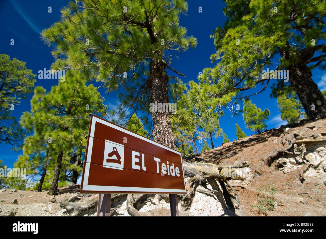 MOUNT TEIDE TENERIFE Road sign on the slopes of Mount Teide National Park Tenerife Canary Islands Spain Stock Photo