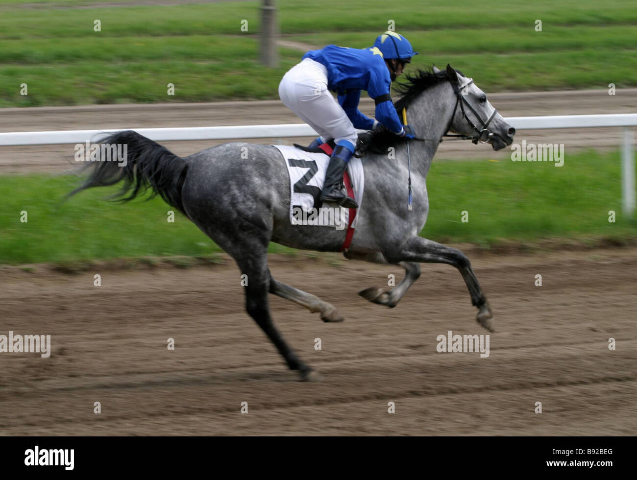 Arabian horse races during the Moscow Paris jockey match in the Moscow