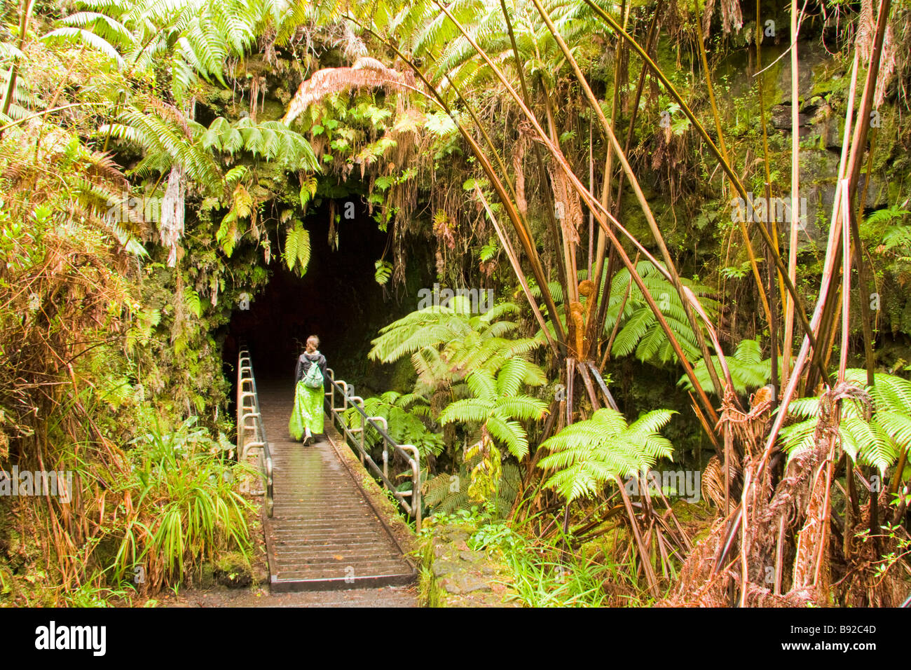 Thurston Lava Tube Volcanoes National Park, Big Island, Hawaii, USA