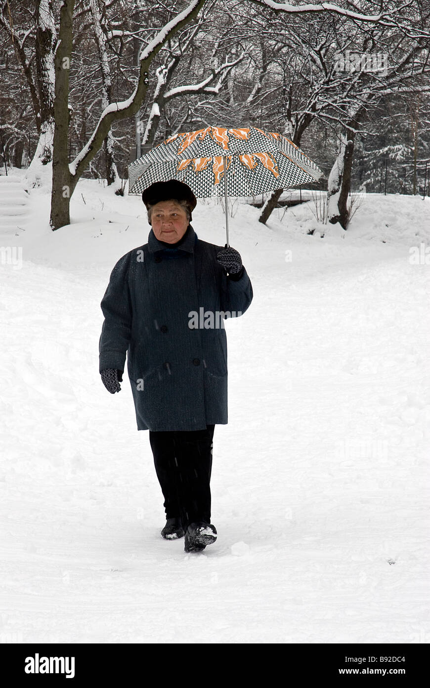 Middle aged woman walking in the snow carrying an umbrella in Prospect Park Brooklyn New York Stock Photo