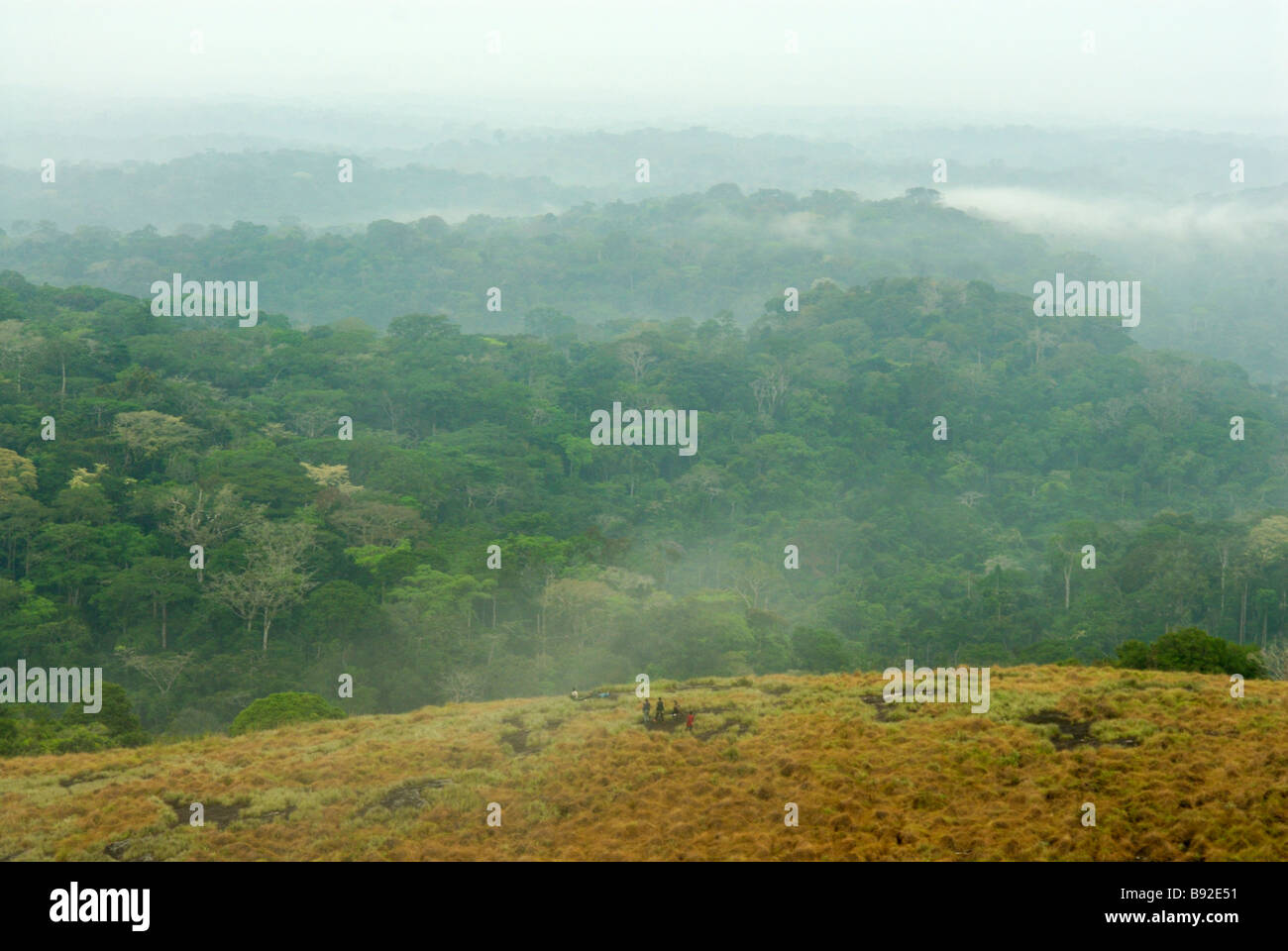 Canopy surrounded hires stock photography and images Alamy