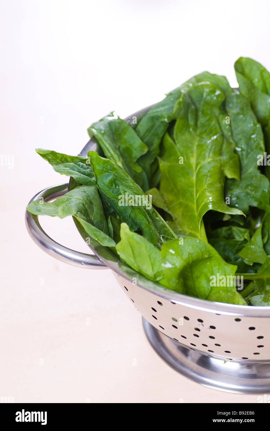 Close of fresh green raw spinach leaves in a strainer Stock Photo