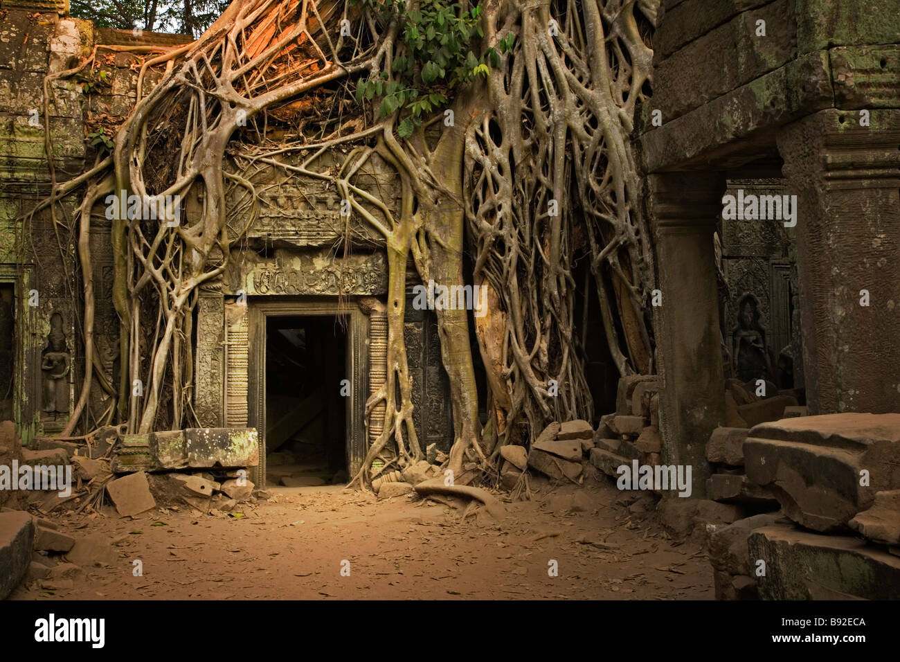 Ficus Strangulosa tree growing over a doorway in the ancient ruins of Ta Prohm at the Angkor Wat site in Cambodia Stock Photo