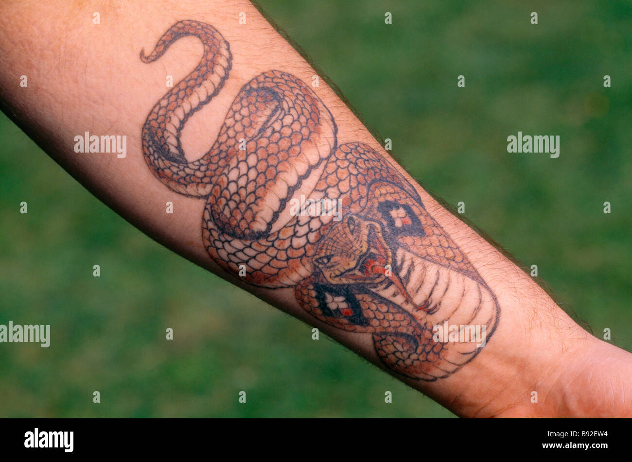 man with tattoo on arm snake B92EW4