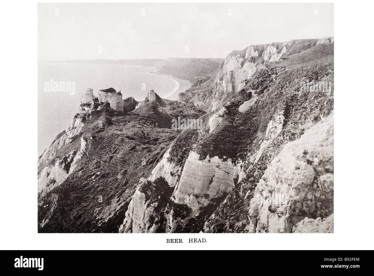 beer head Devon is a large county in South West England. The county is also referred to as