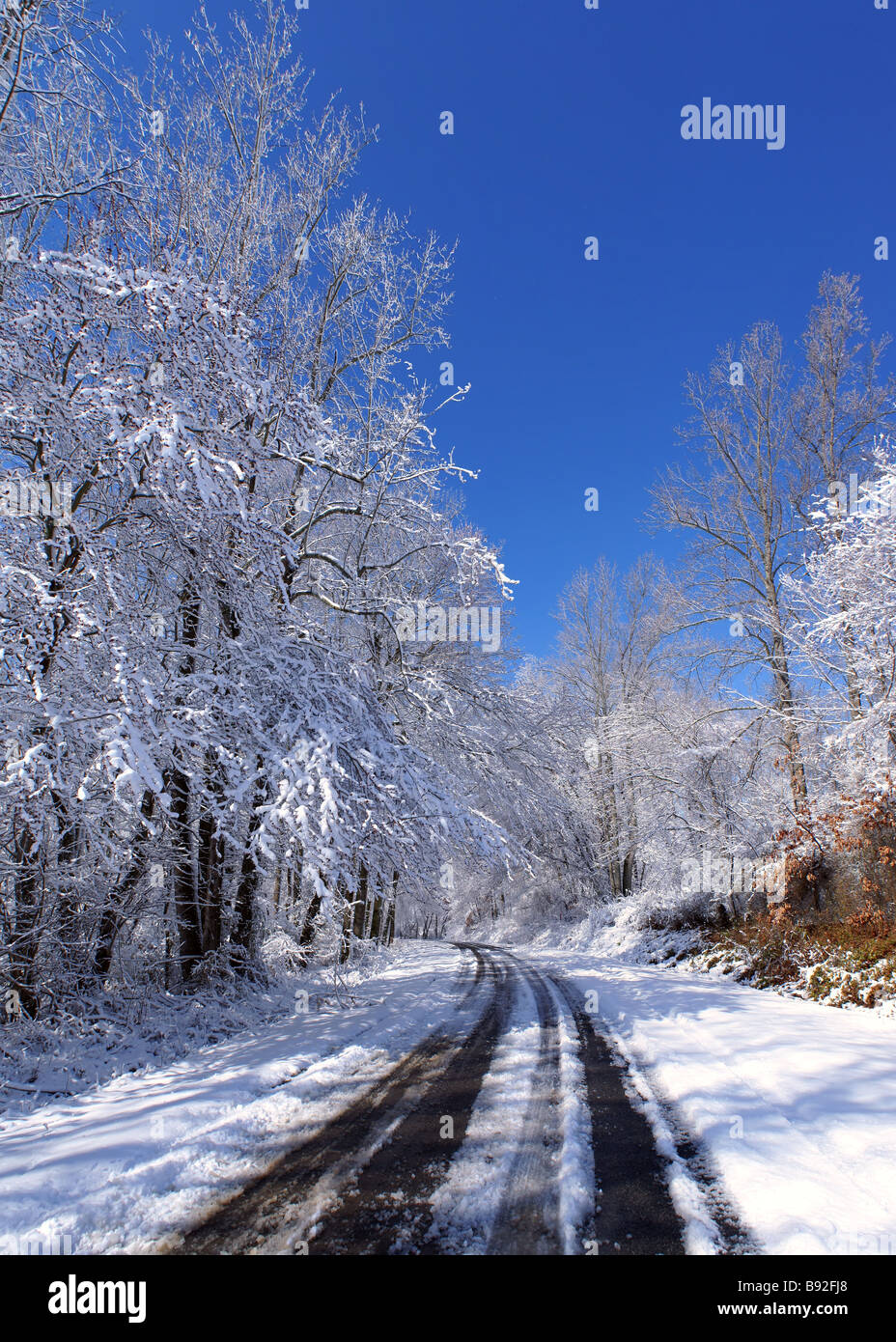 Country road after an early snow in North Carolina, USA on a sunny day. Tire tracks and trees contrasting a clear blue sky. Stock Photo