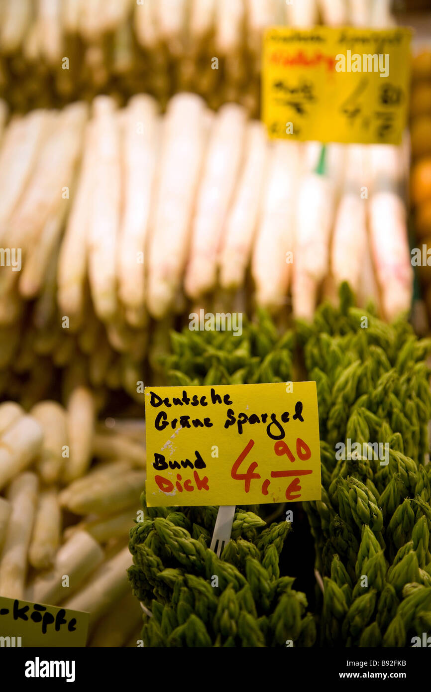 New season locally grown asparagus spargel on display at Kleinmarkthalle in Frankfurt am Main Germany Stock Photo