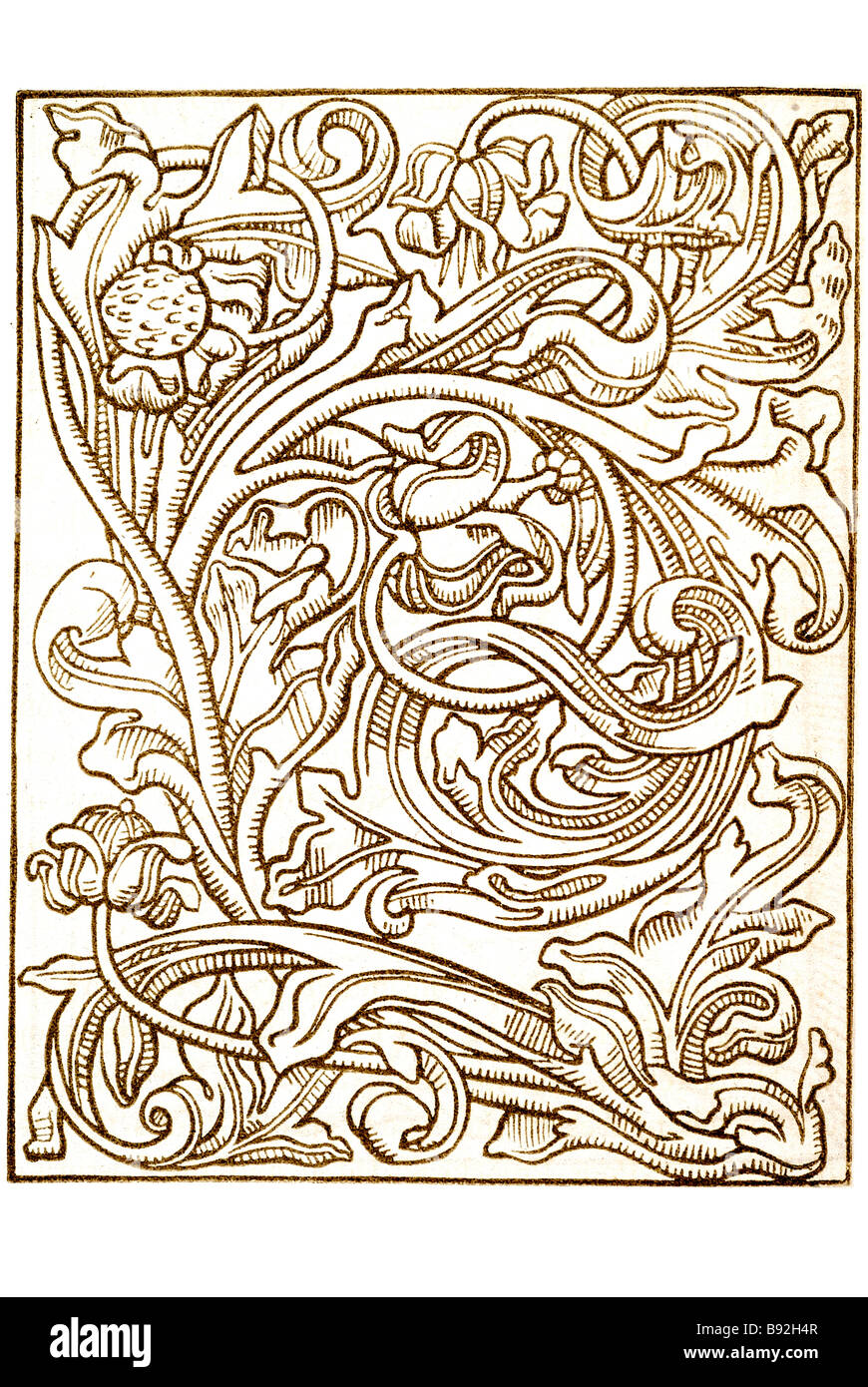 cuts alpphabet parchment letters lettering people manuscript period plant flower ornamental design wood carving box Stock Photo