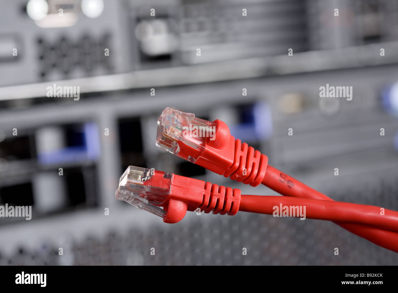 patchcord, network, communication, connection, wire, twisted pair cable, IT, information technology, server, client, hardware, b Stock Photo