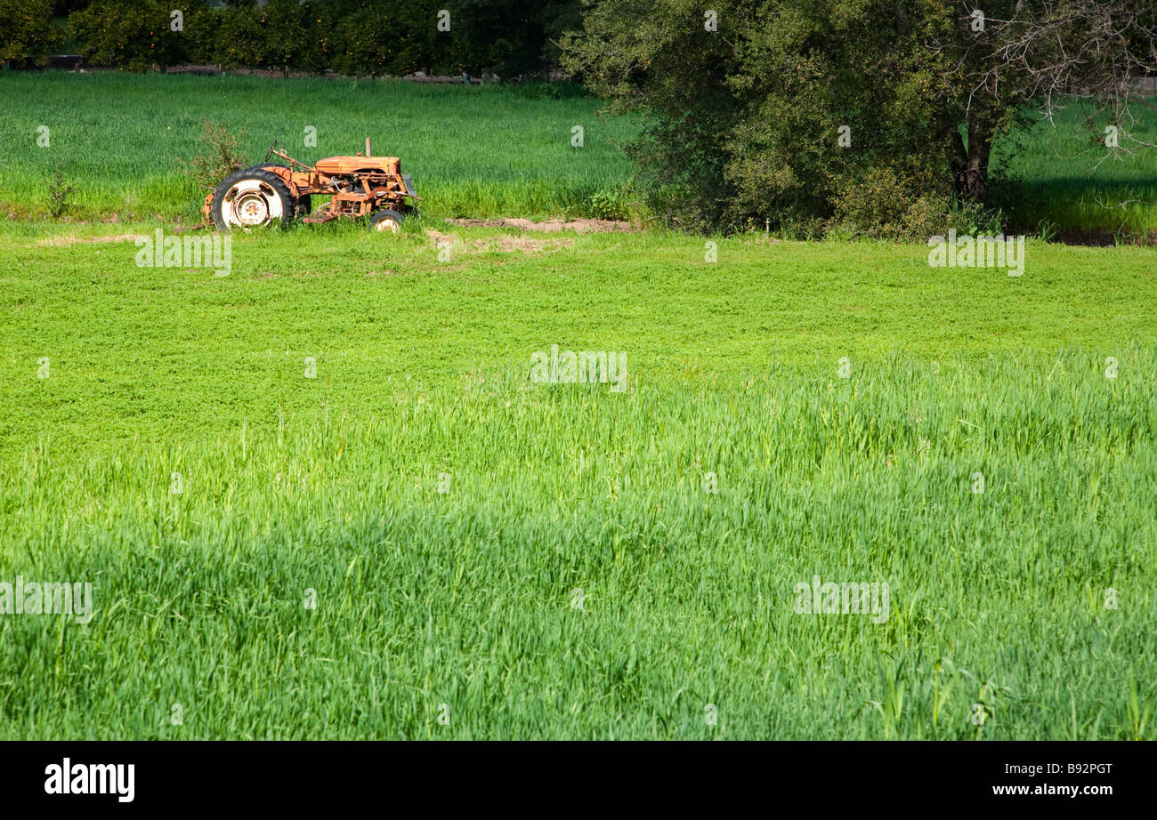An old tractor no longer used sits in a field outside of Ojai