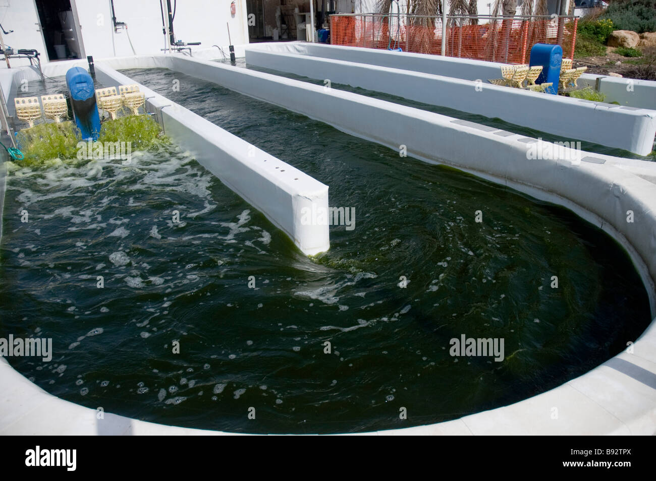 Algae production hi-res stock photography and images - Alamy