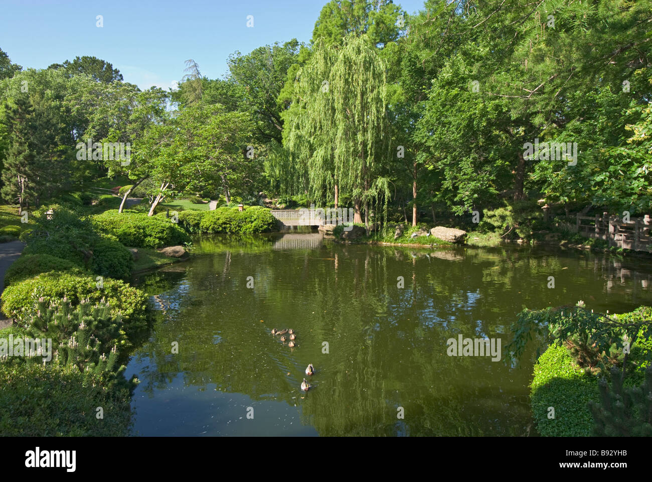 Texas Fort Worth Botanic Garden Japanese Garden Stock Photo - Alamy