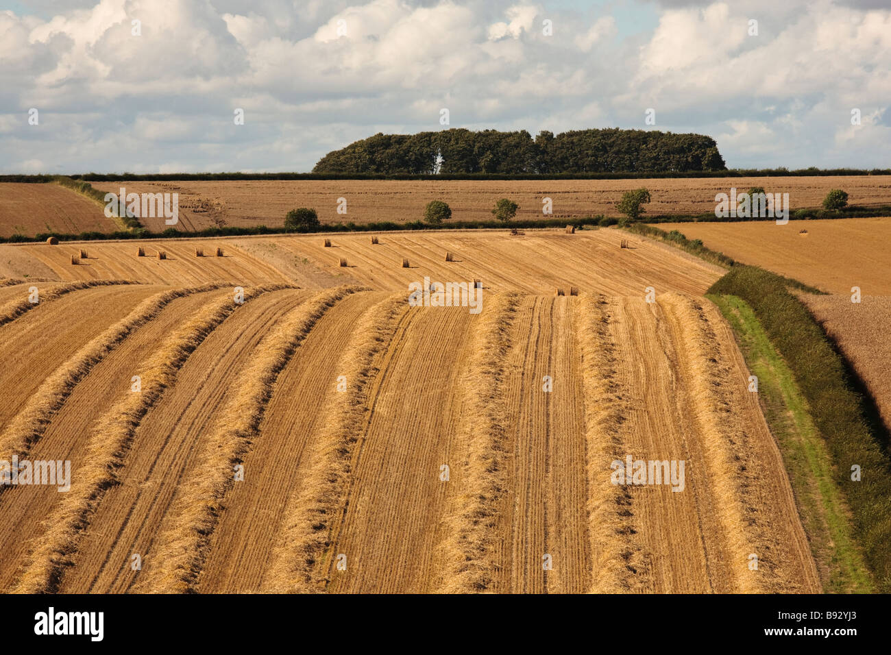 Wheat Field After Harvest, near South Dalton, East Yorkshire, England
