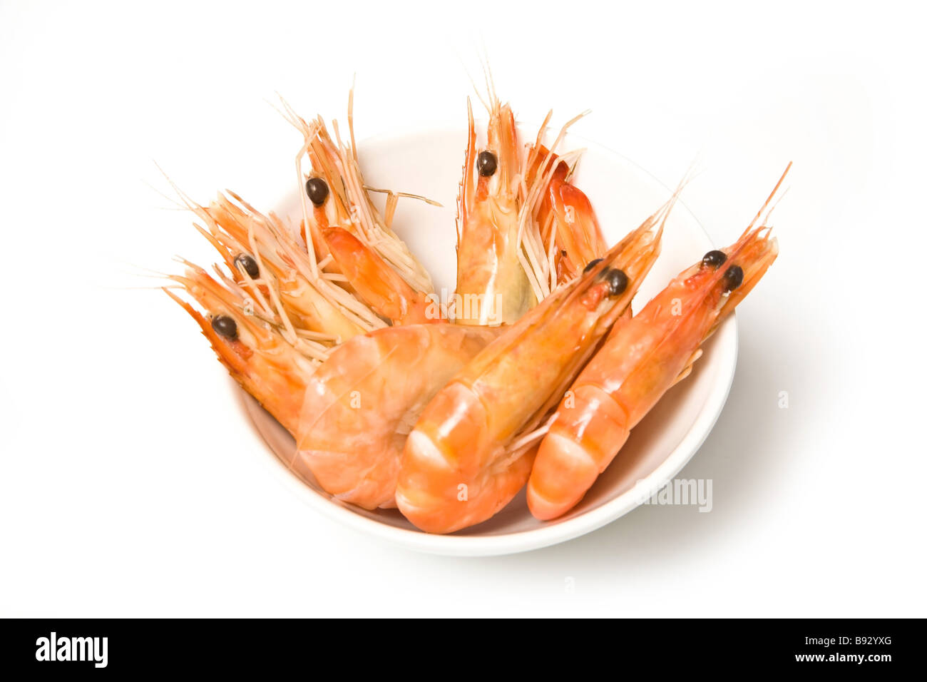 Bowl of Crevettes cooked prawns shrimp isolated on a white studio background Stock Photo
