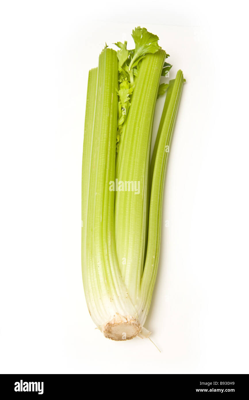 celery bunch isolated on a white studio background Stock Photo Alamy