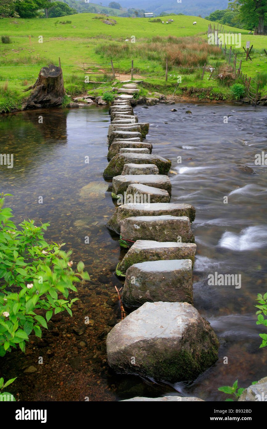 Stepping Stones At Rydal Water Beck Lake District National Park Cumbria stepping-stones-at-rydal-water-beck-lake-district-national-park-cumbria