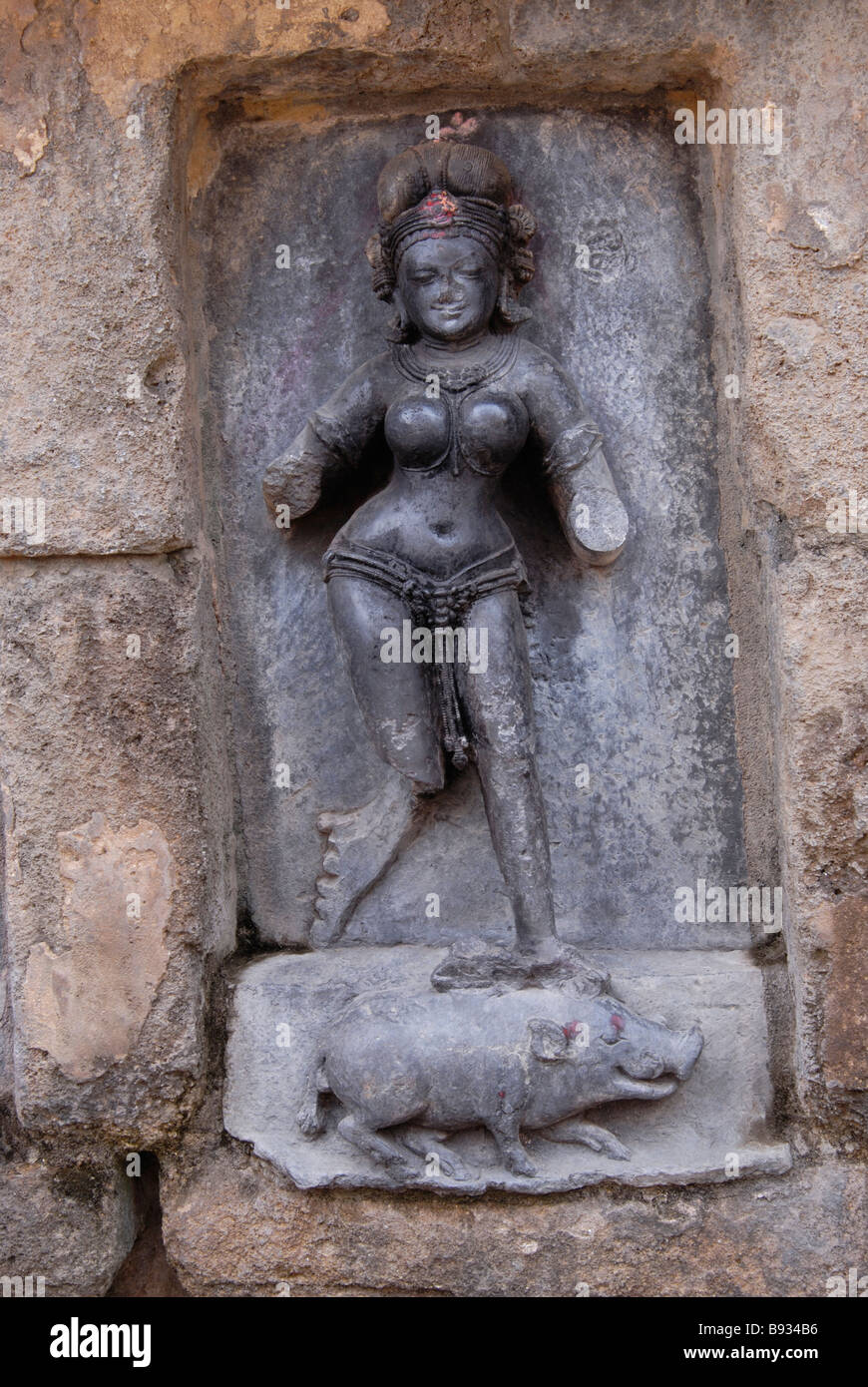 Hirapur Orissa, Yogini Temple, Yogini No.13- Virupa/Panchavarahi. Stock Photo