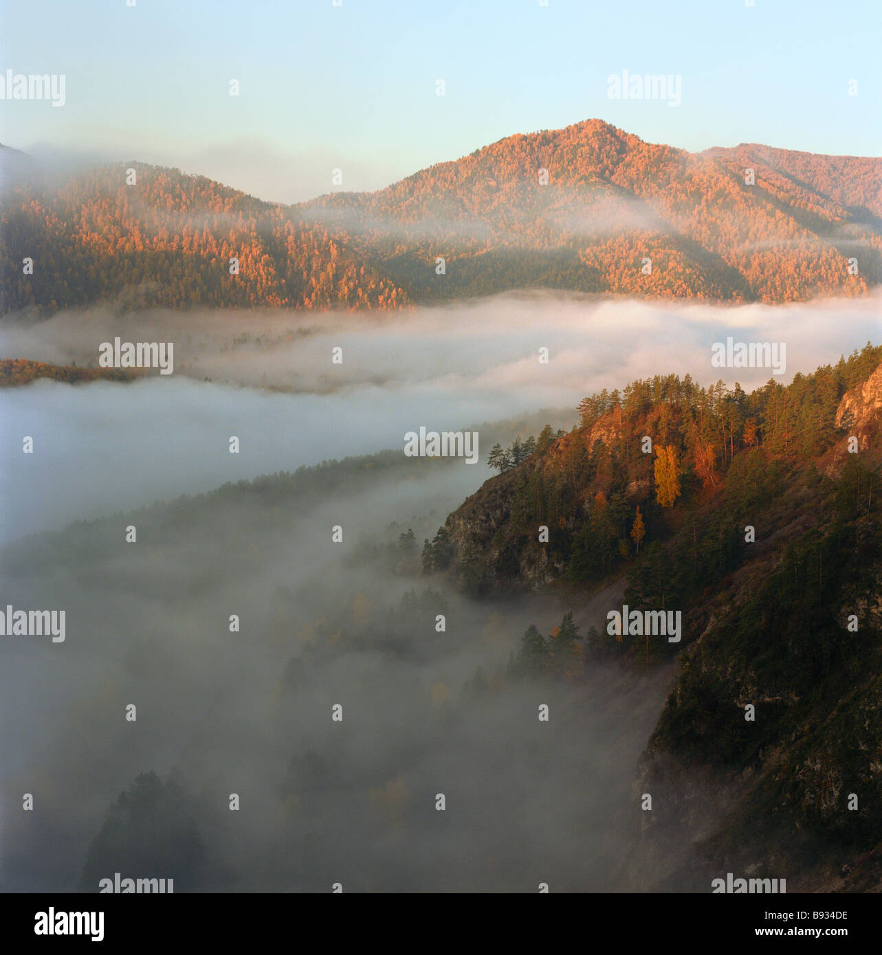 Misty arising over the Katun River, the Altai Mountains, Siberia, Russian Federation Stock Photo