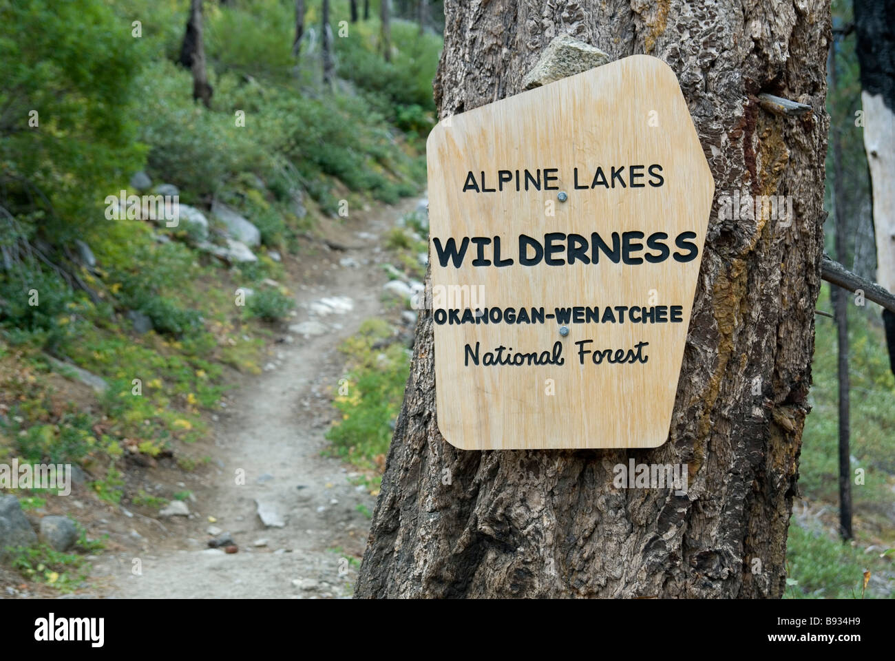 Trail Sign for Alpine Lakes Wilderness, Washington State Stock Photo