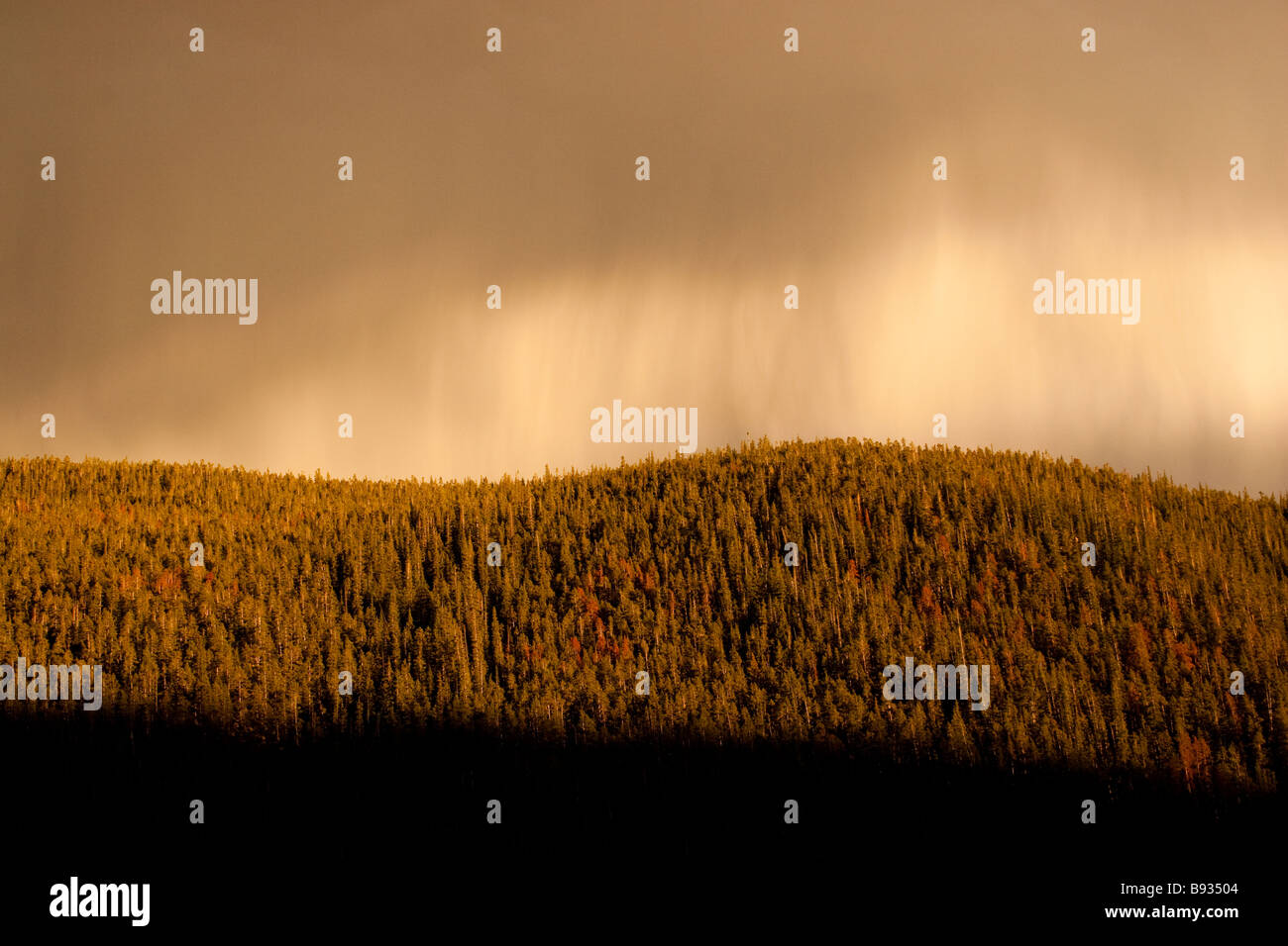 Rain thunder sleet and snow storm Stock Photo