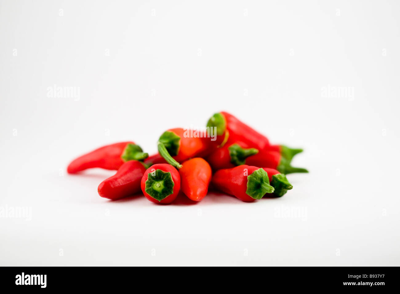 Red chillis on white background Stock Photo
