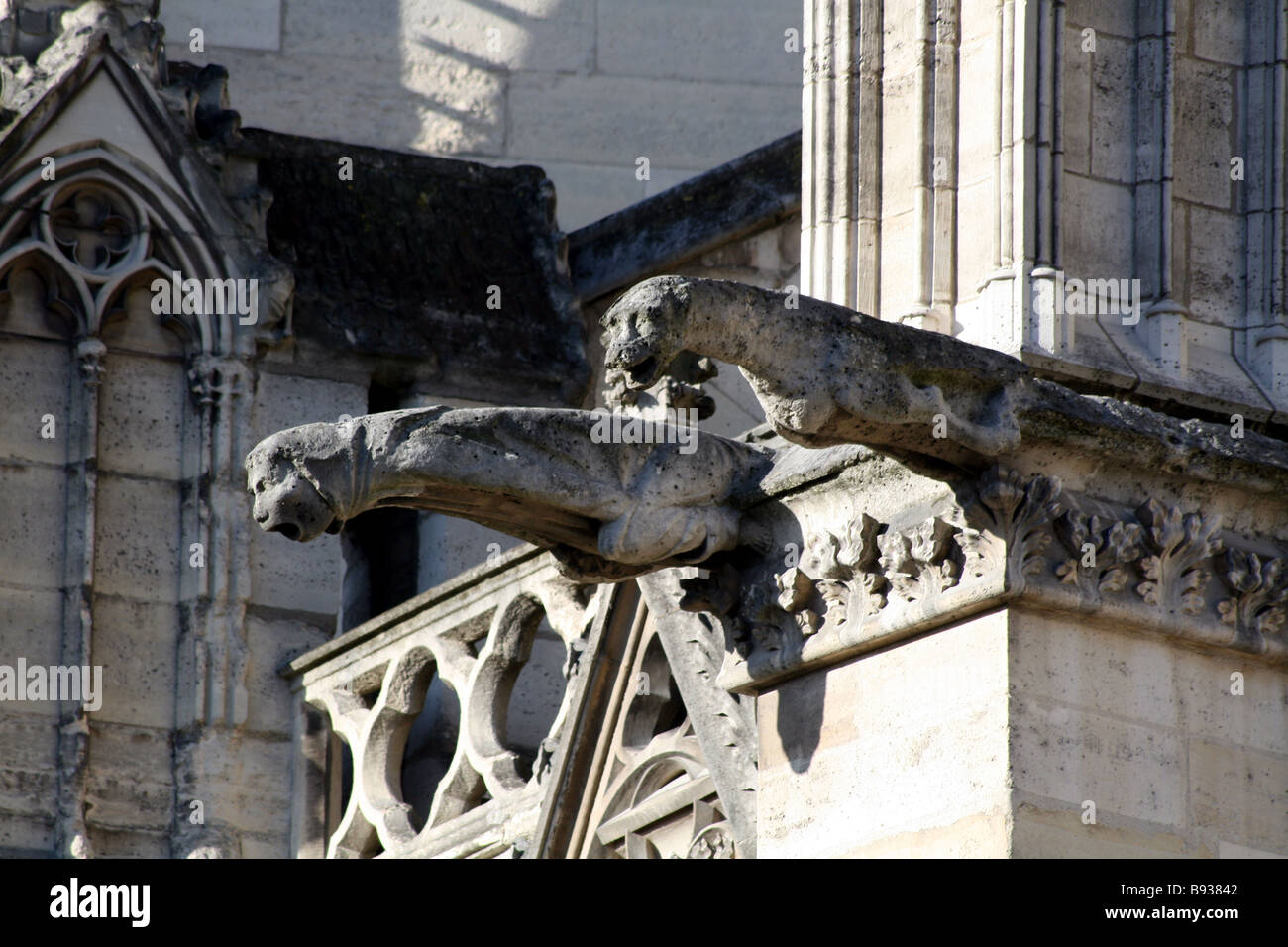 Gargoyles on Notre Dame Catherdral, Paris Stock Photo Alamy