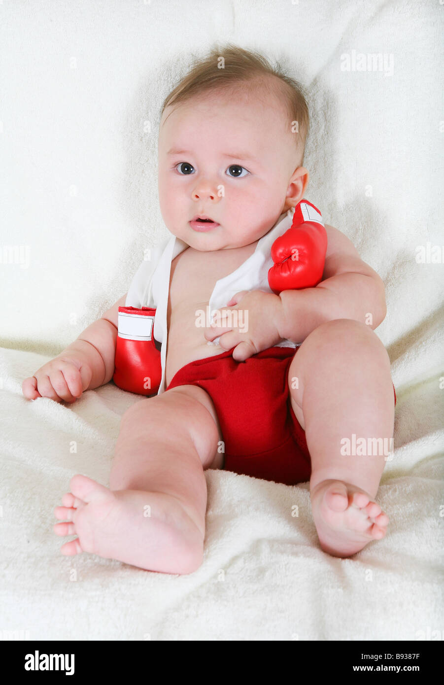 Portrait of the small boxer Stock Photo Alamy