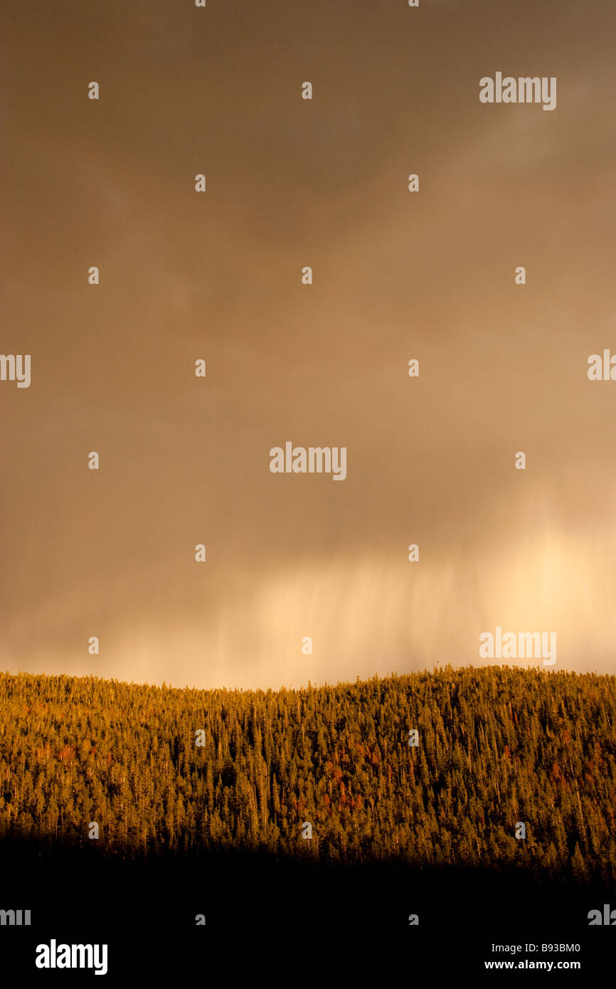 Rain thunder sleet and snow storm Stock Photo Alamy