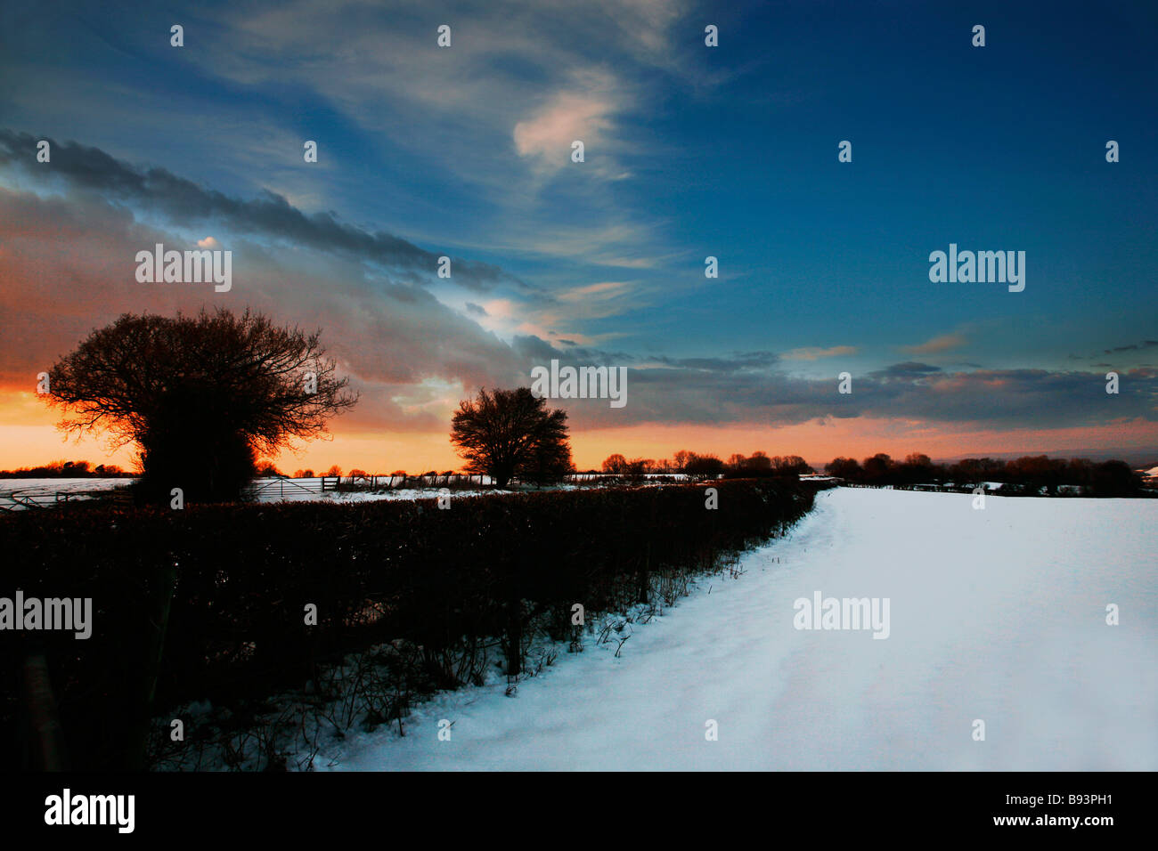 North dorset farm hi-res stock photography and images - Alamy